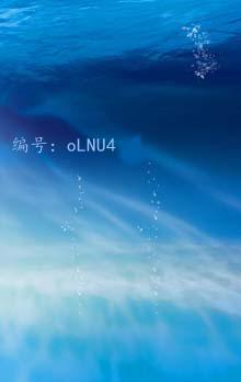 仯