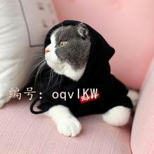 ǻ