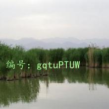 ǻ