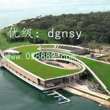 Ȧ