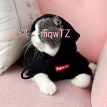 ҵ