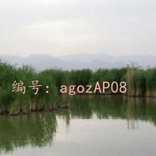 ĩ